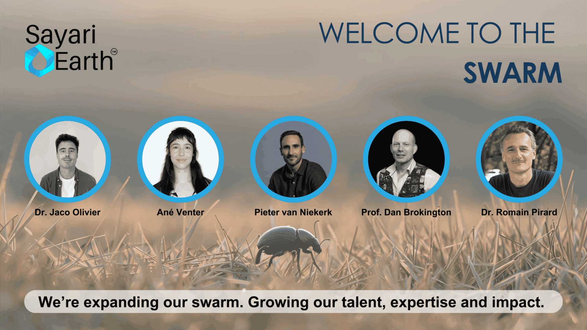 August-New-Joiners-Website-Blog-Background-scaled-1