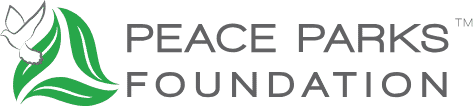 peaceparks-dark