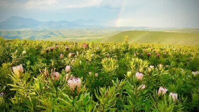 WhatsApp-Image-2024-05-21-at-14.21.37-400x225-1