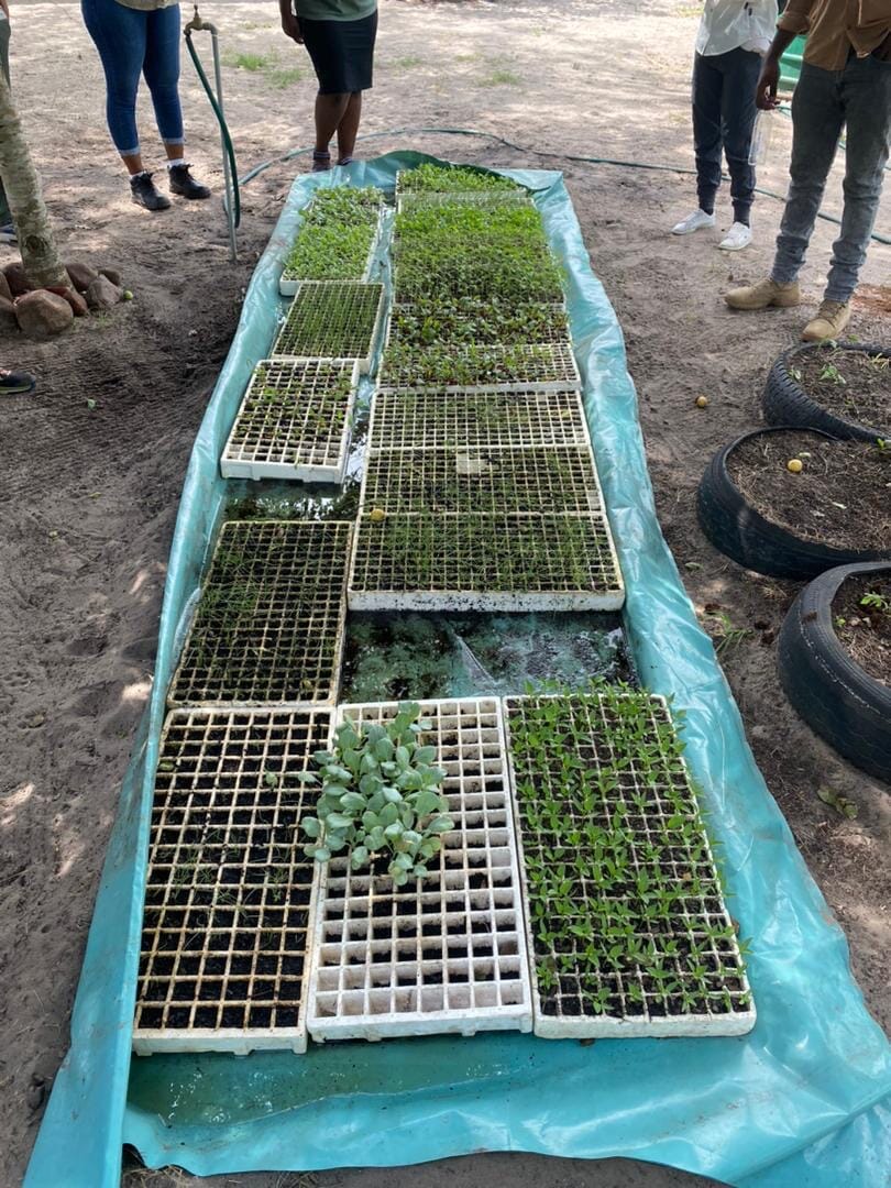 436a168f-b519-48e2-ae17-15719f110c8b