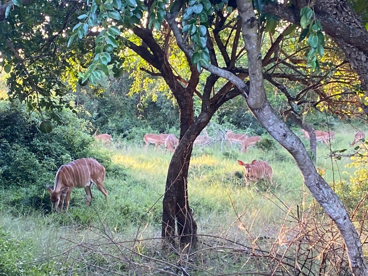 4c908406-01db-49b7-80aa-1c2dec78a979