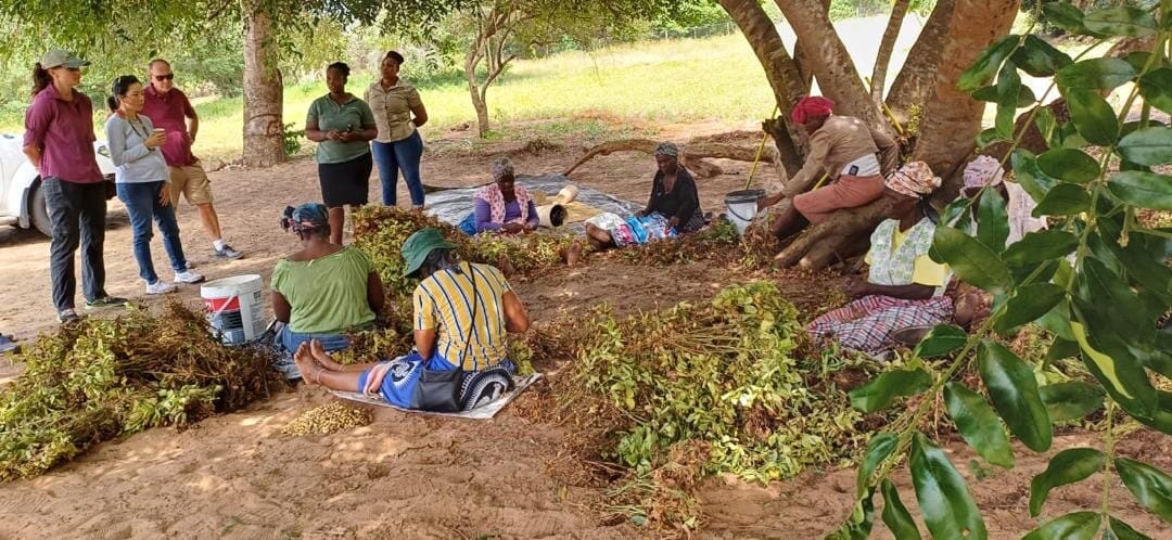 7d691f3c-0d0f-46dd-a3f1-8993c583b27e