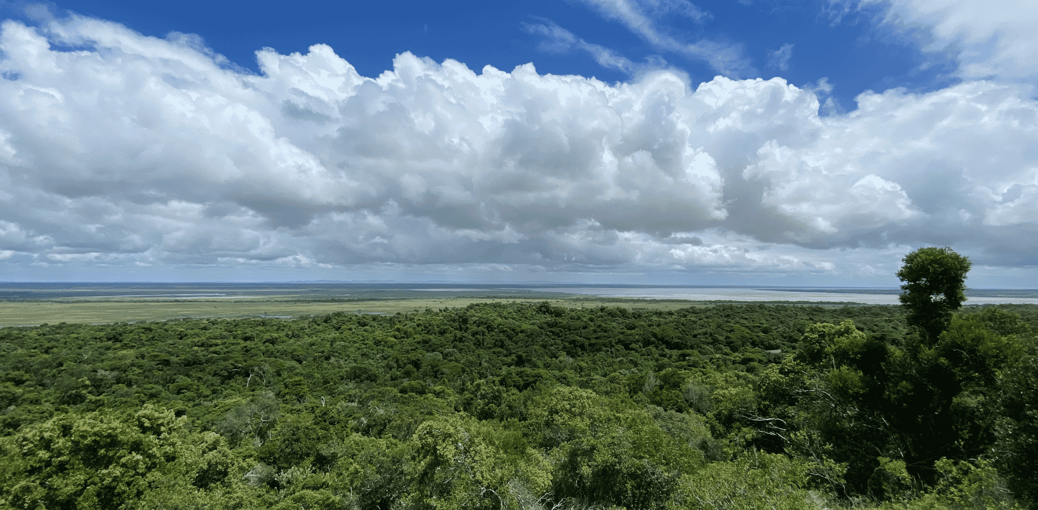 Website-Blog-Images-1