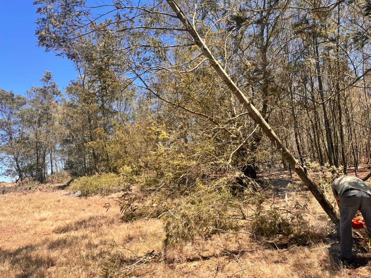 WhatsApp Image 2025-11-25 at 14.16.02 (1)