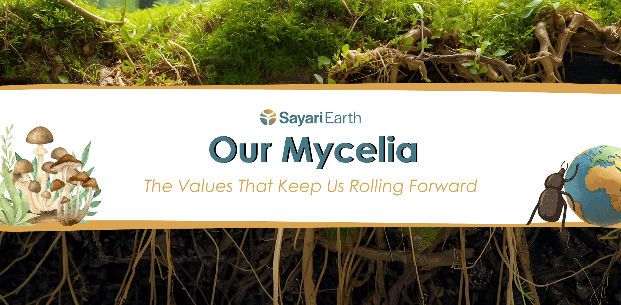 Mycelia-Blog-Image