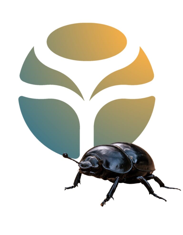 our emblem